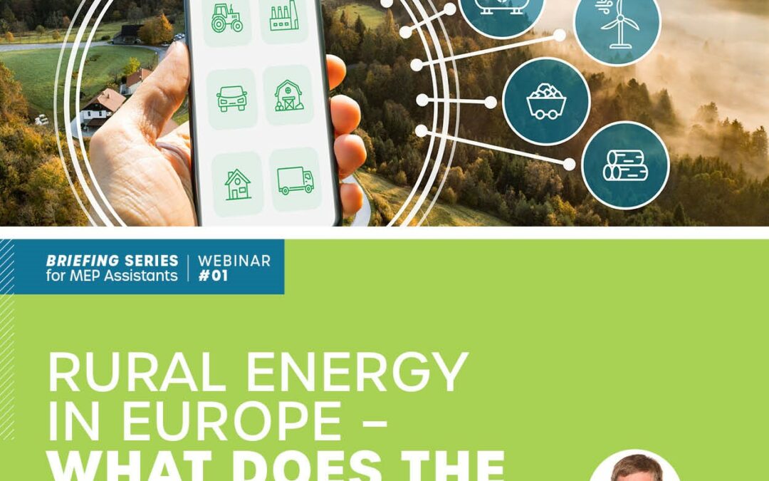 FREE Webinar recap: Rural Energy in Europe – What does the future hold?